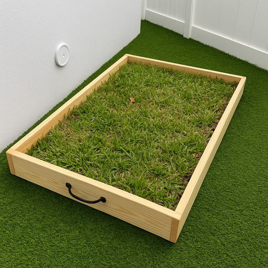 Caja Verde MEDIANA